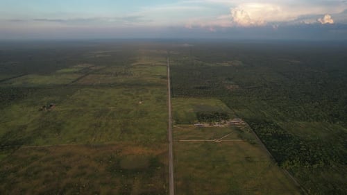 drone shot of yucatan jungle in mexico