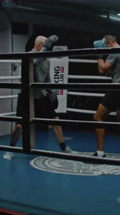 Two Adults Boxing in Ring
