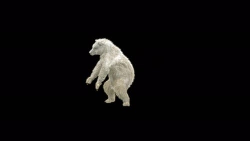 Animated 3D White Bear Cub Standing and Posing