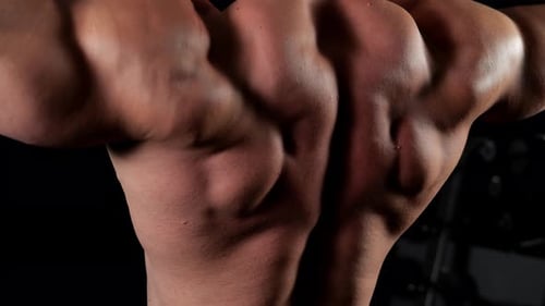 Muscular Back Flexing In Dark Gym Setting