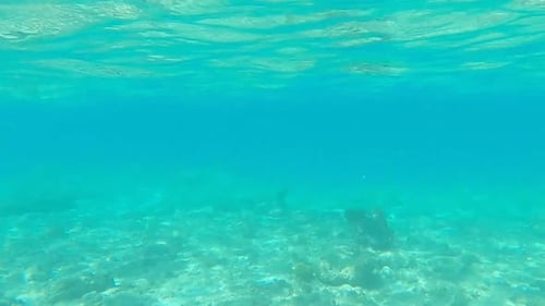 Seafloor underwater footage on a Riviera Maya shore, Mexico, Quintana Too