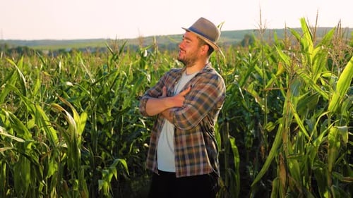 Confident Man Posing in Corn Field