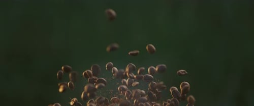 Geröstete Kaffeebohnen fliegen