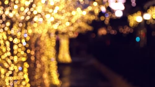 Background of Blurred Decorated Christmas Trees in Golden Garland on Street of Evening City