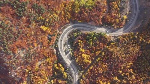 Aerial View Of Colorful Forests And Highway In Autumn