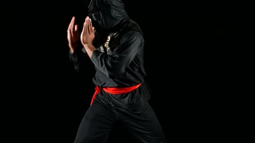 Ninja Warrior,