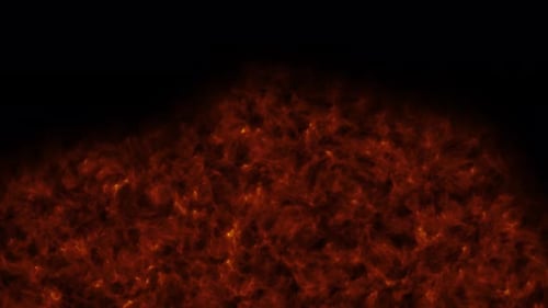 Fire burns, fire flames on black background