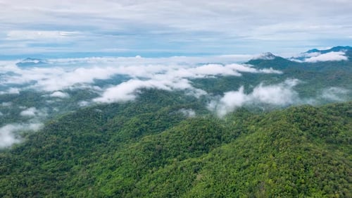 Aerial view morning scenery Mist flowing over the high mountains.