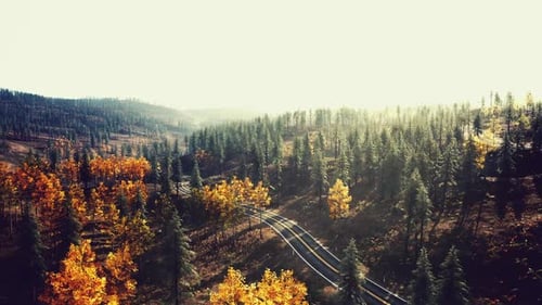 Scenic Asphalt Road Winding Through Colorful Mountain Forests in Autumn