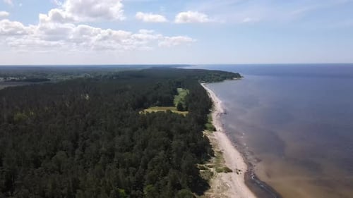 4K Areal shot flying over forest and sea