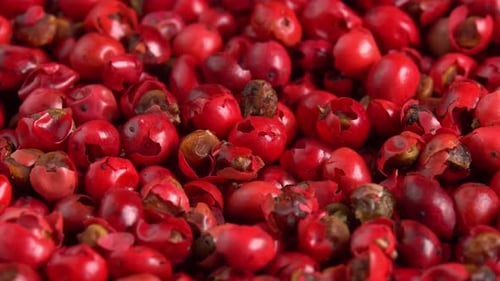 Pile of Red Peppercorns in Close Up Detail