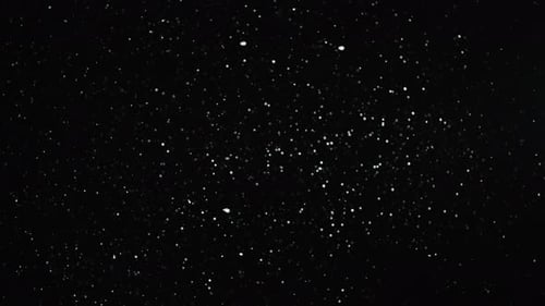 Langsam fallende kleine Schneeflocken isoliert auf dem schwarzen Hintergrund auf der Schleife. Weiße Bokeh-Partikel