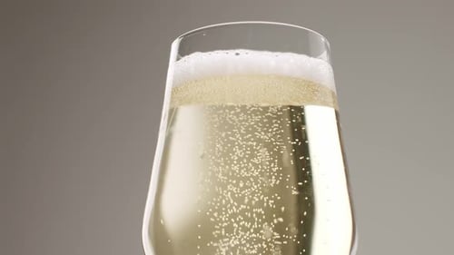 Glass of Champagne on White Isolated Background Champagne Bubbles