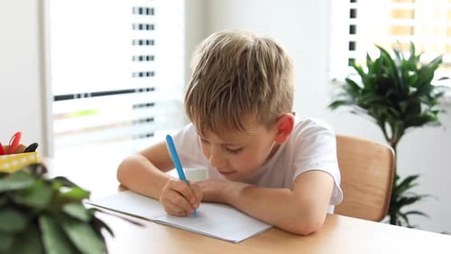 Cute Boy Doing School Homework at Home Distance Education Online Education