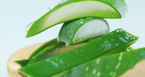 Fresh Aloe Vera Slices with Water Droplets