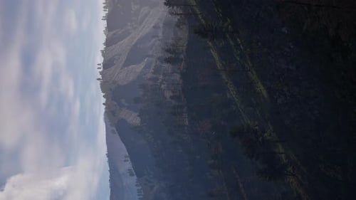 Vertical Video of Misty Foggy Mountain Landscape with Fir Forest