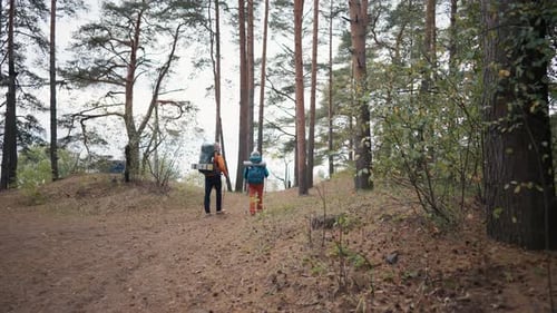 Senior Hikers Man Woman Hiking on Nature Autumn Park Holding Sticks Talking Back View Tourists