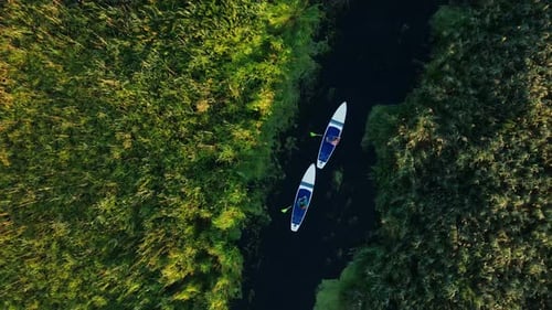 Athletes Riding SUP Boards in Narrow River Between Green Fields