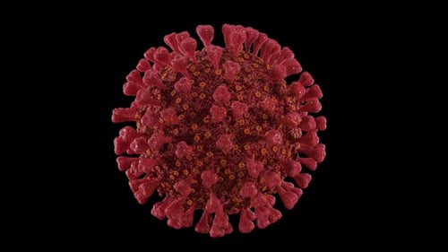 Rotating 3D Coronavirus COVID-19 Virus Microscopic Model