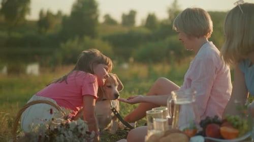 Child Pets Dog at Grassy Field Picnic in Sunlight