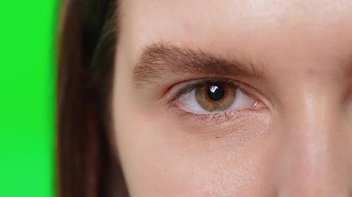 Details Portrait Woman Brown Eyes