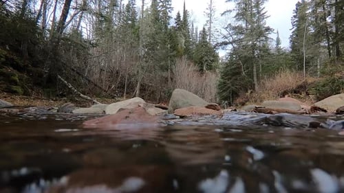 Water flowing over rocks in a river