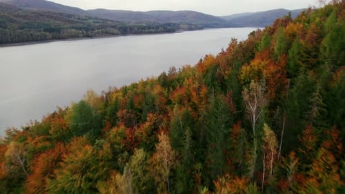 Drone shot of a forest with a big calm lake, in autumn, hills in the background