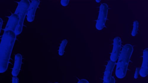 Abstract Blue Bacteria Cells Floating Science Animation