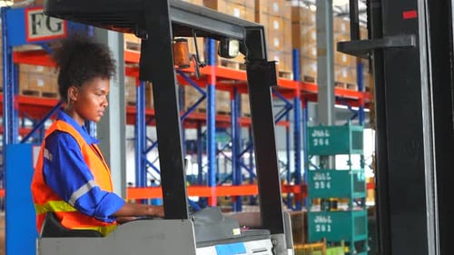 Warehouse workers checking the inventory.