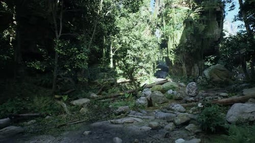 Scenic Dirt Road Surrounded By Trees and Rocks