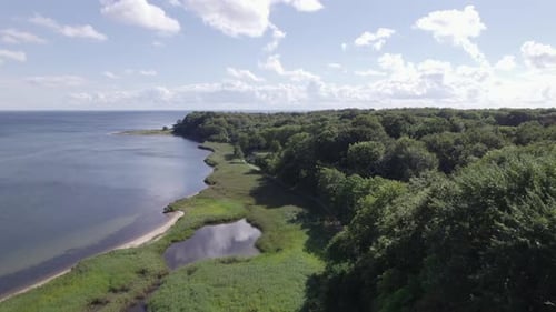 Aerial Shot of the Sea and a Forest in Denmark Scandinavia - Dolly Shot