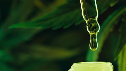 CBD Glass Bottle Hemp Leaves on Dark backdropHemp extractAlternative Medicine