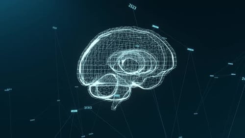 Human brain hologram. Transparent 3D model of human organ on black background.