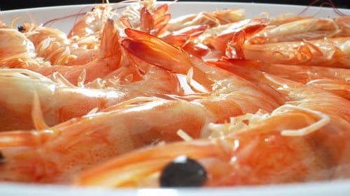 Frozen Shrimp with shell in 4K video.