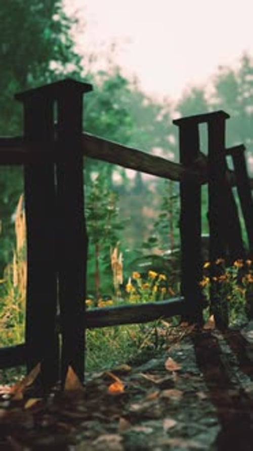 Fence in the Green Forest Field Under Blue Sky