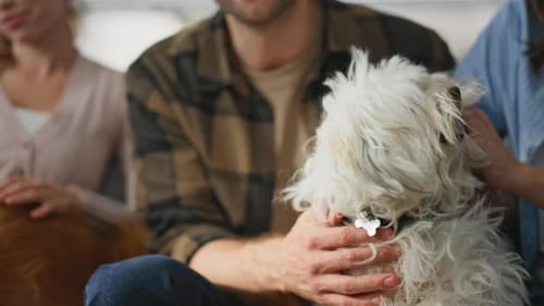 Family and Dogs Relaxing Together on Couch Indoors