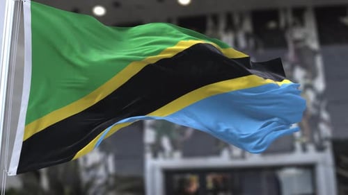 Realistic Waving Tanzania Flag