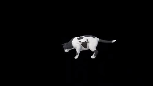 Straßenkatze spielt