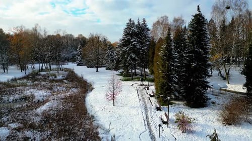 Drohnenblick auf den schlesischen Park voller Schnee unter dem bewölkten blauen Himmel - 4k