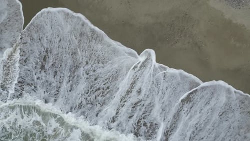Ocean Foamy Waves Roll on Wide Sandy Beach with Exotic Trees