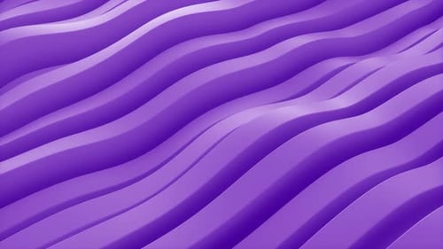 Abstract purple wavy lines flowing animation. 3d loop animation 4k