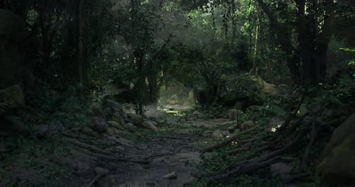 Lush Greenery Envelops a Serene Pathway Through a Vibrant Forest at Dawn
