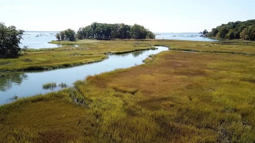 Aerial Flight View Over Saltmarsh and forest in Milton Harbor