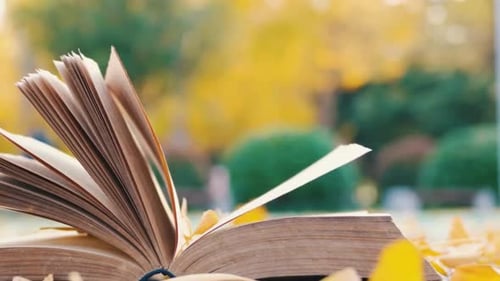 Cinematic And Majestic View Of Book And Leaves Falling