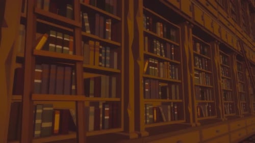 Library Cupboard with Ladders & numerous Books : Looped Video