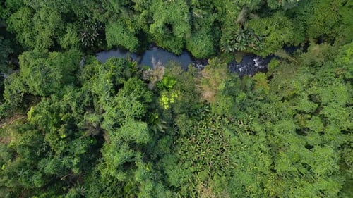 Luftaufnahme des Gebirgsflusses und der grünen Waldbäume in der Landschaft der Waldnatur