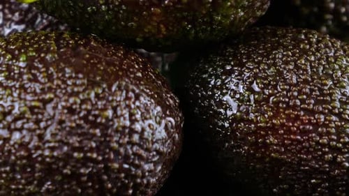 Drops of water fall on avocado fruits with leaves on a black background. Raw Fruits, healthy food.