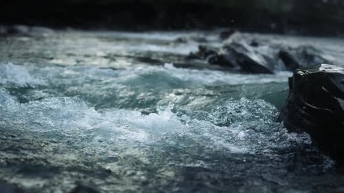Powerful Rushing Mountain River Flowing Over Rocks in the Wilderness
