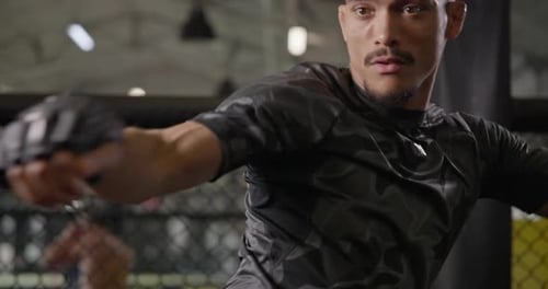Focused Boxer Training in the Gym
