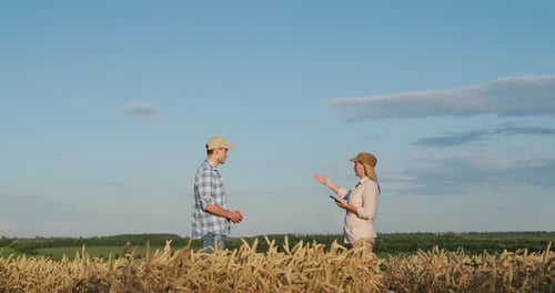 Two Farmers Communicate on the Background of a Wheat Field They Use a Tablet